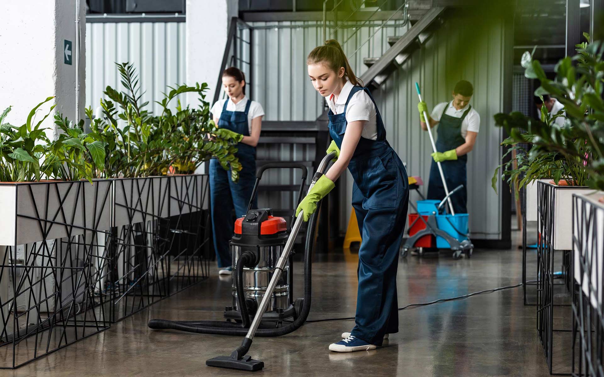 Commercial Cleaning Macquarie Park — Cleaning