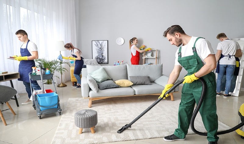 Ever Clean Australia — image 7
