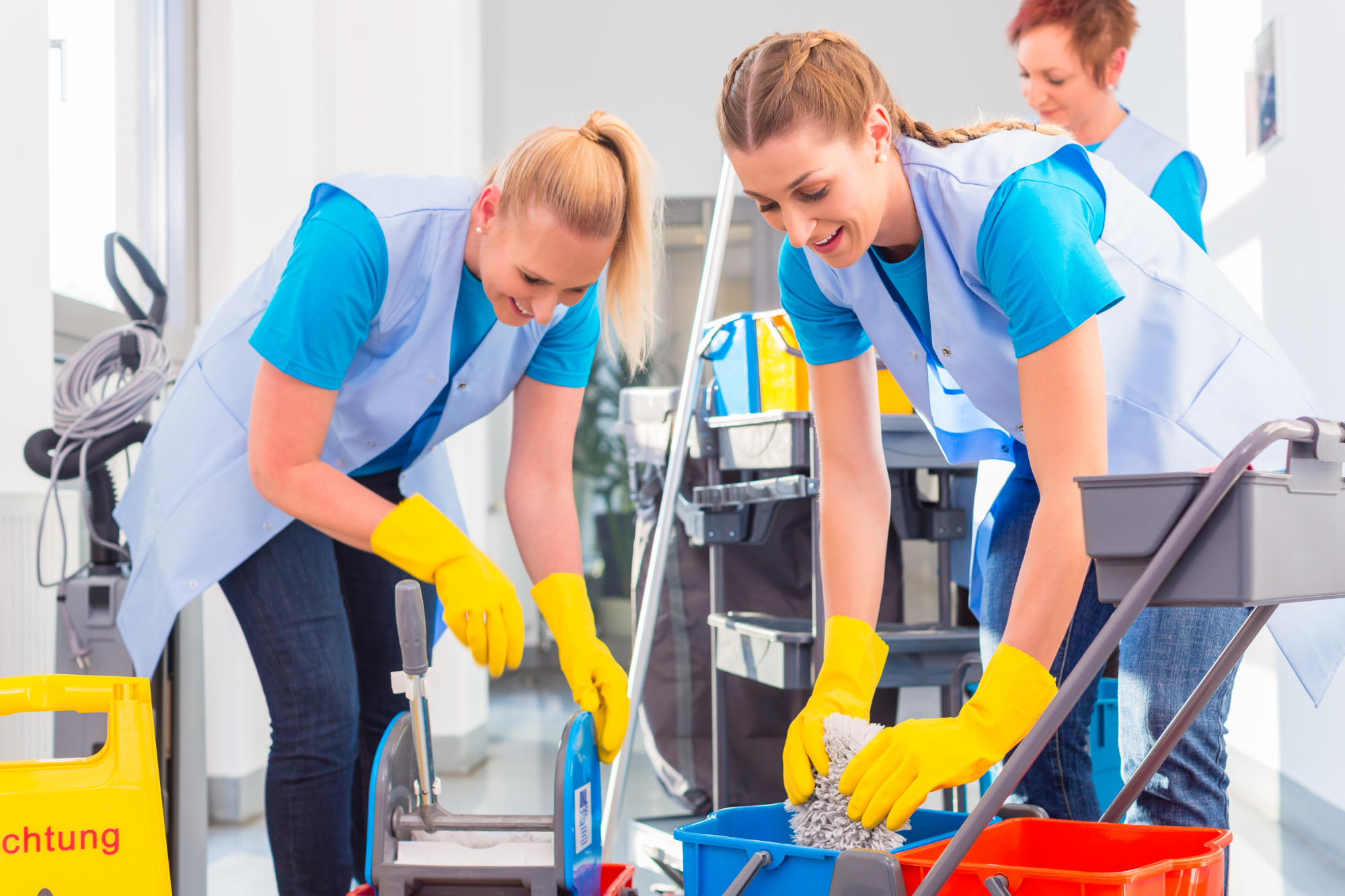 Ever Clean Australia — image 8